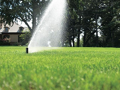 Irrigation & Sprinkler Systems