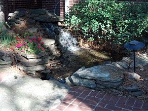 Water Features