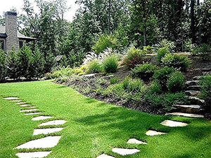 Landscape Installation, Conway, AR